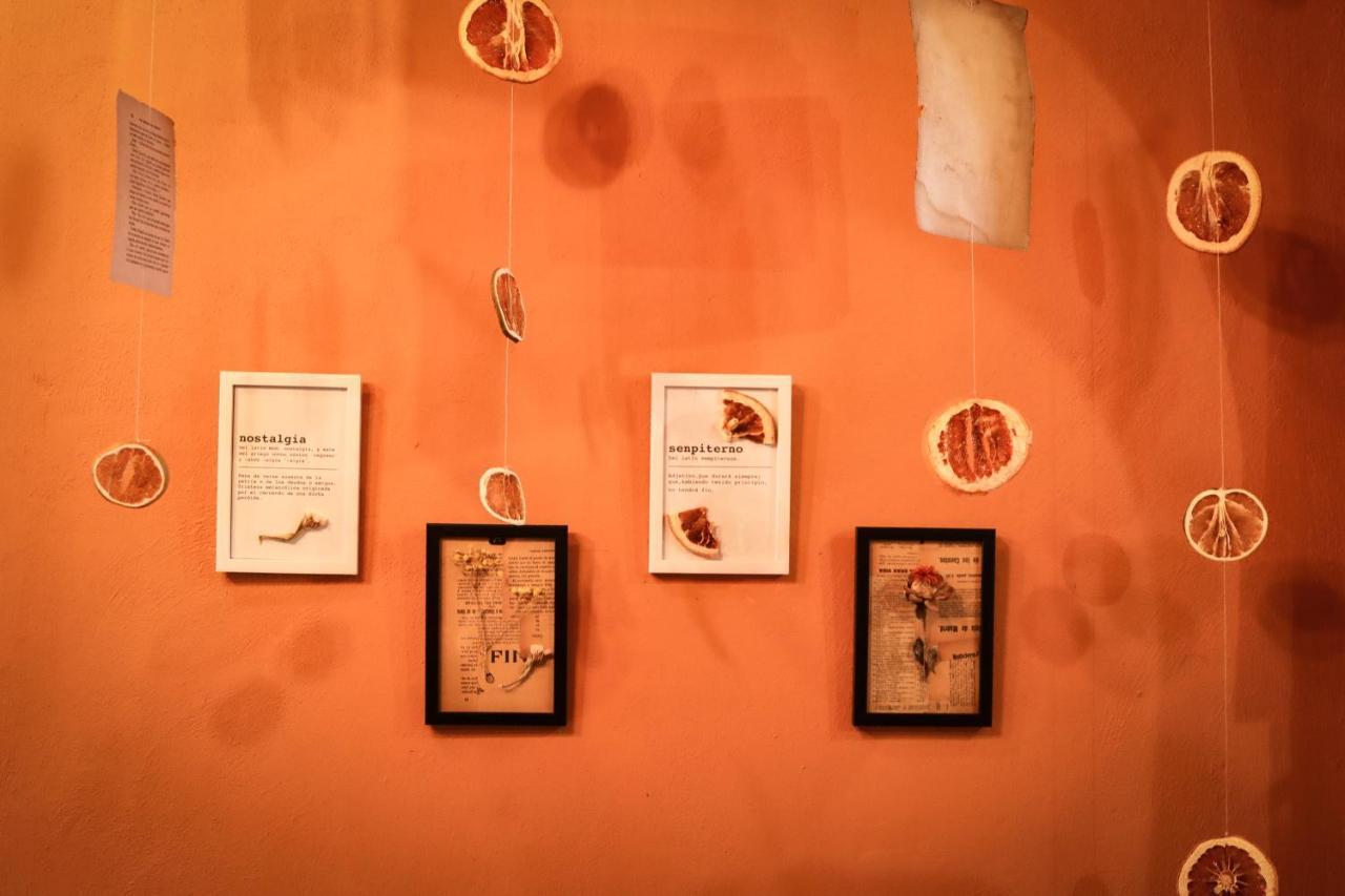 Kuka Y Letras Bed & Breakfast Merida Bagian luar foto